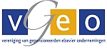 logo VGEO