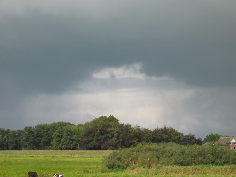 V54IMG_3972