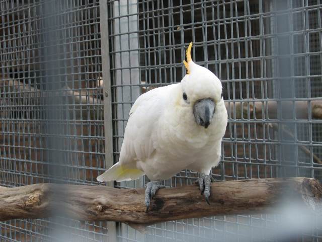 V58IMG_1413