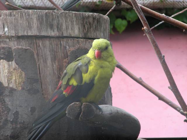 V58IMG_1416