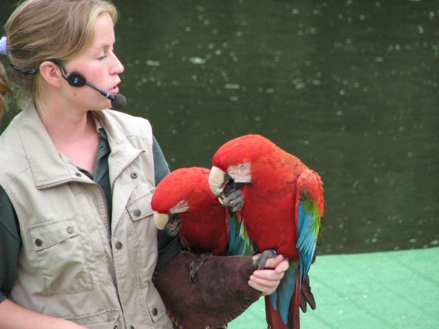 V58IMG_1532