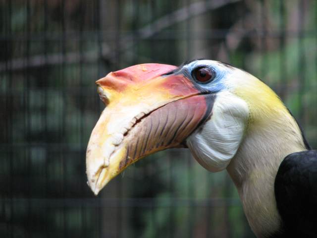V58IMG_1573