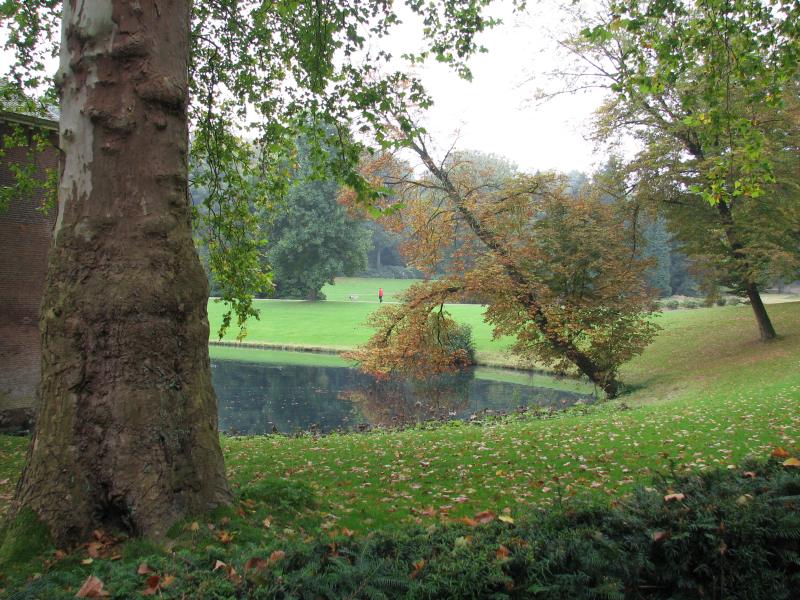 V62IMG_4944