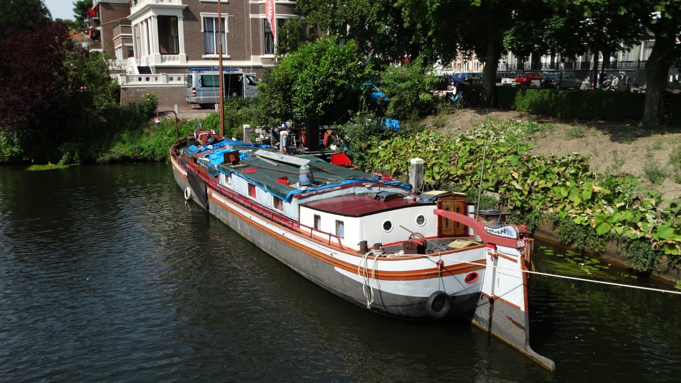zdc929