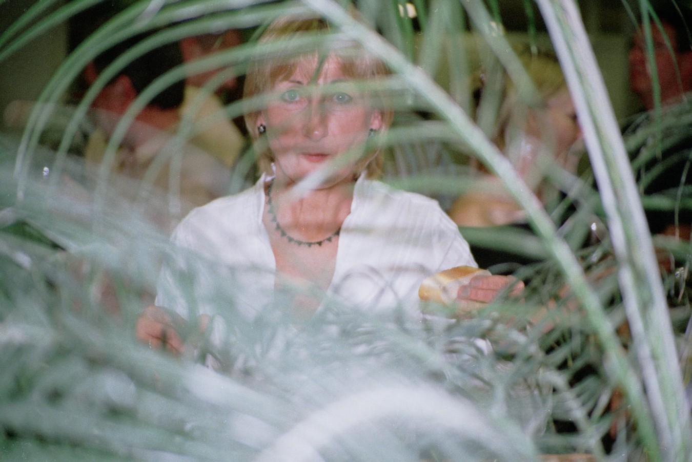 2005wijn117